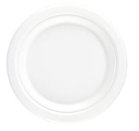 Bagasse 10" Disposable Biodegradable Plate (Pack 500)