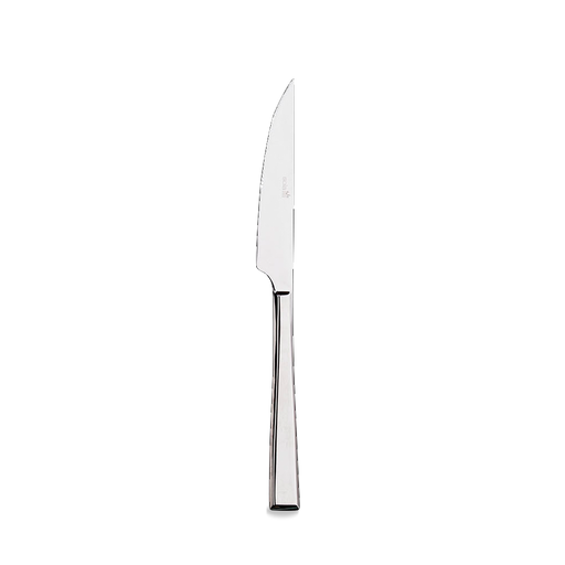 Durban  Steak Knife Monobloc 24.4Cm Box 12