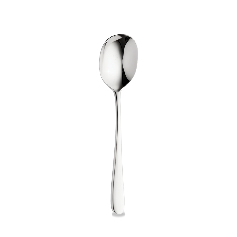Oasis  Serving Spoon  Box 12