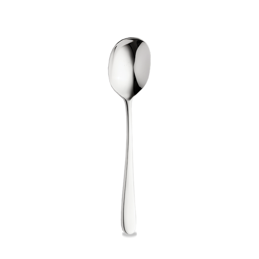 Oasis  Serving Spoon  Box 12