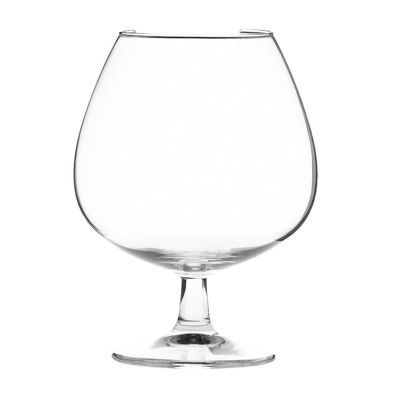 80 cl (28 oz) Specials Specials Brandy (Box of 4)