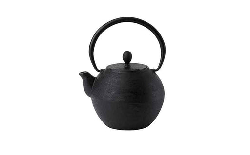 1.25 cl (44 oz)  Akita Cast Iron Teapot Black with Filter (large)* (Box of 6)
