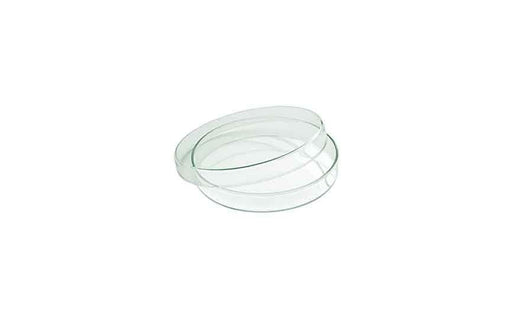 62 cl Glass Mini Flat Glass Bowl with Lid (Box of 6)