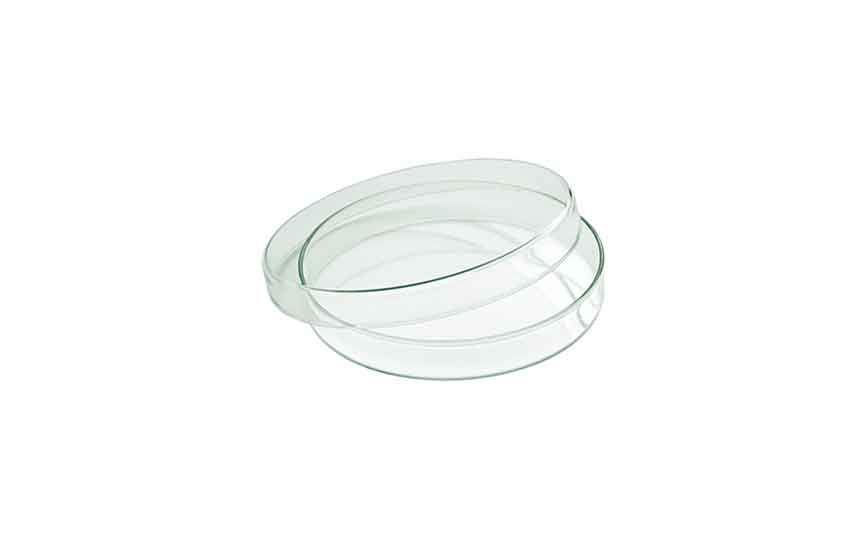 206 cl Glass Flat Glass Bowl with Lid (Box of 6)