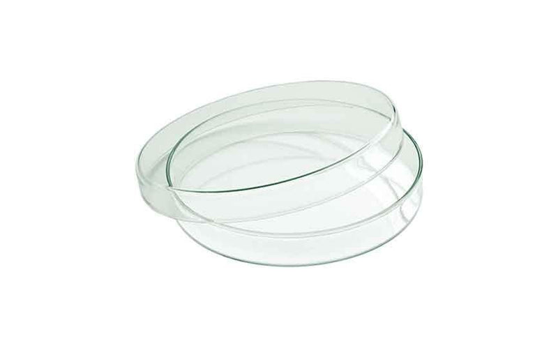 292 cl Glass Flat Glass Bowl with Lid (Box of 6)