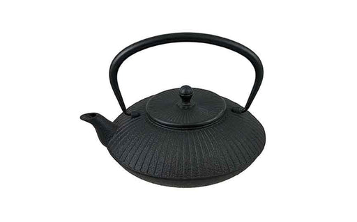 22 cl (1.15 oz) Cast Iron Cast Iron Teapot with Strainer (Box of 1)