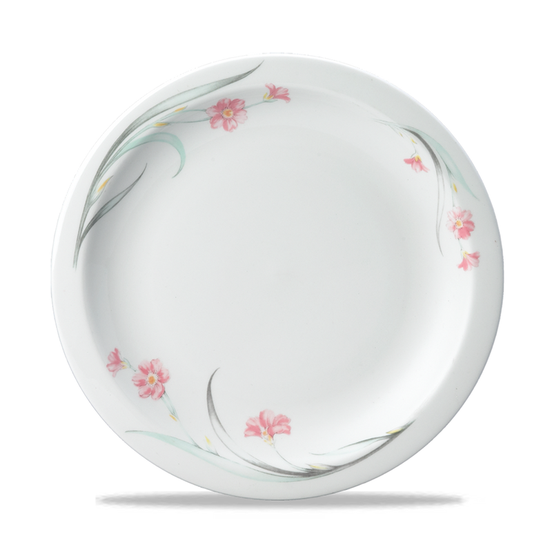 Chelsea Nova Plate 10" Box 24