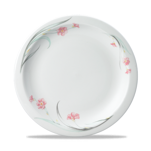 Chelsea Nova Plate 10" Box 24