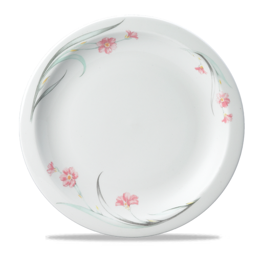 Chelsea Nova Plate 11" Box 12