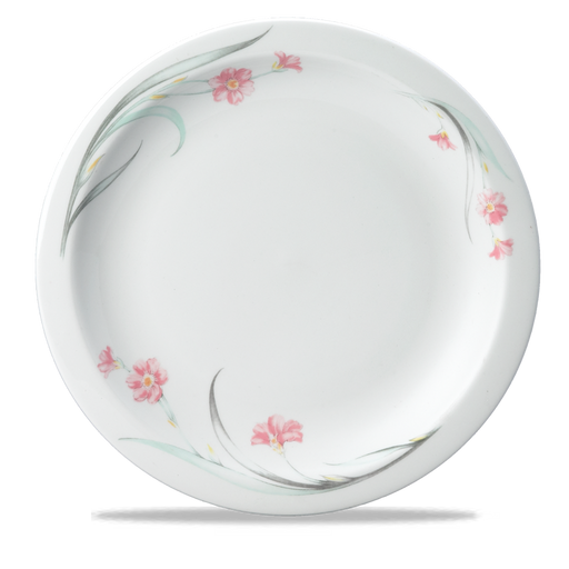 Chelsea Nova Plate 12" Box 12