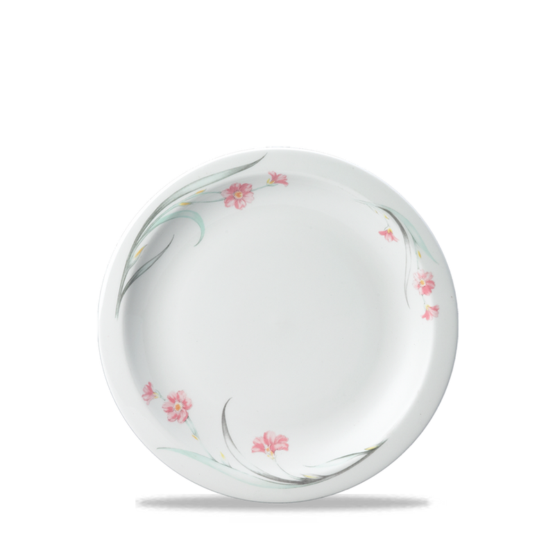 Chelsea Nova Plate 6" Box 24