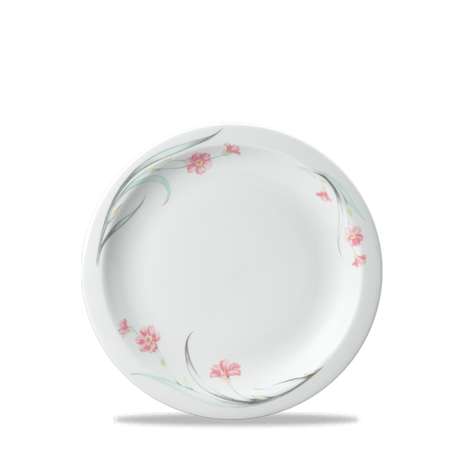 Chelsea Nova Plate 6" Box 24