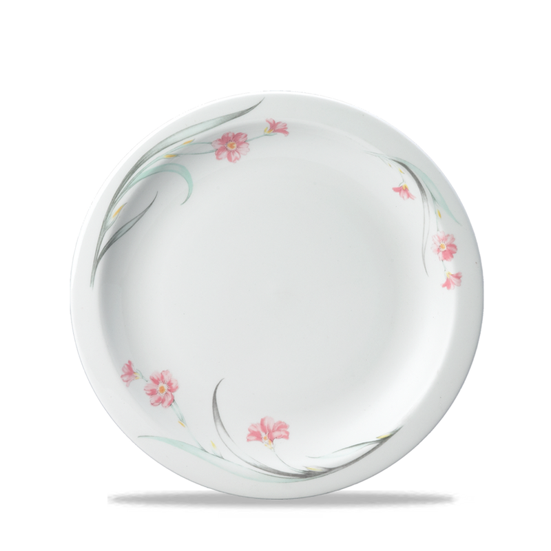 Chelsea Nova Plate 8" Box 24