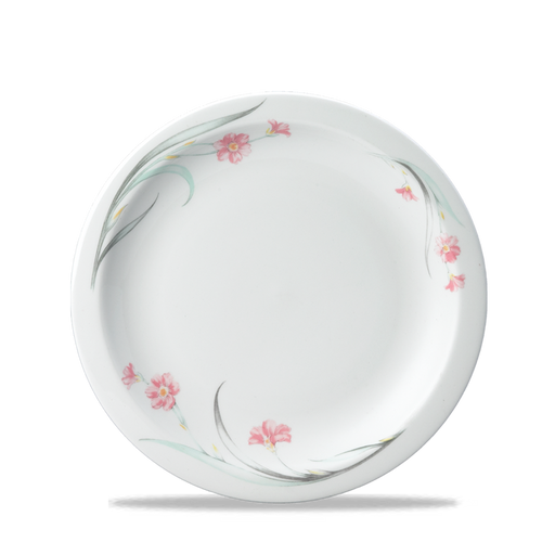 Chelsea Nova Plate 8" Box 24