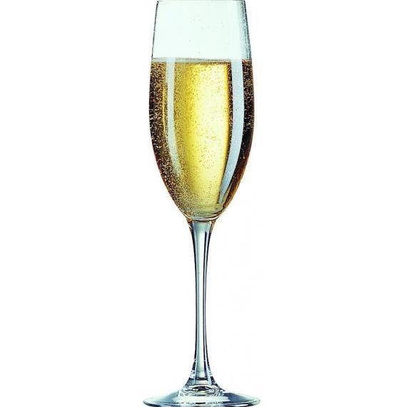 Chef & Sommelier Cabernet Tulip - KWARX  Flute(24cl)(8.5oz) (Pack of 24)