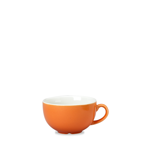 New Horizons Or  Cappuccino Cup 12Oz Box 24