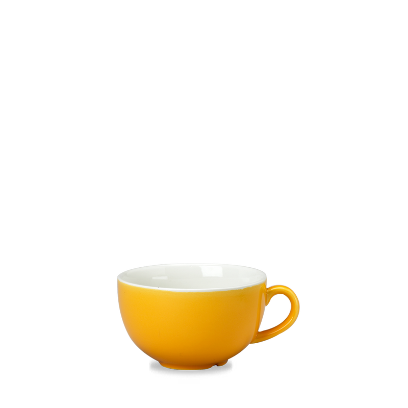 New Horizons Ye  Cappuccino Cup 12Oz Box 24
