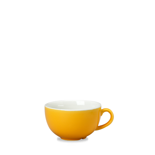 New Horizons Ye  Cappuccino Cup 12Oz Box 24