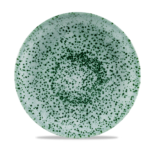 Mineral Green Evolve Coupe Plate 10.25" Box 12