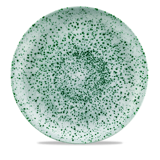 Mineral Green Evolve Coupe Plate 11.25" Box 12