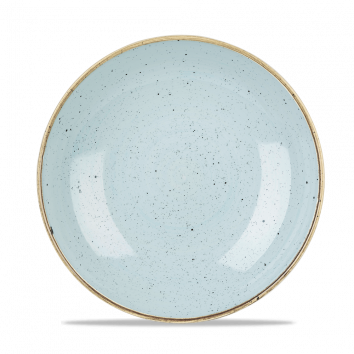 Stonecast Duck Egg Evolve Coupe Plate 8.67" Box 12