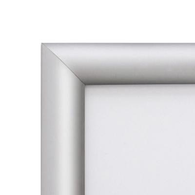 Silver A4 Snap Frame